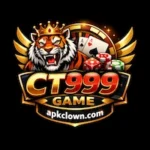 CT999 Game